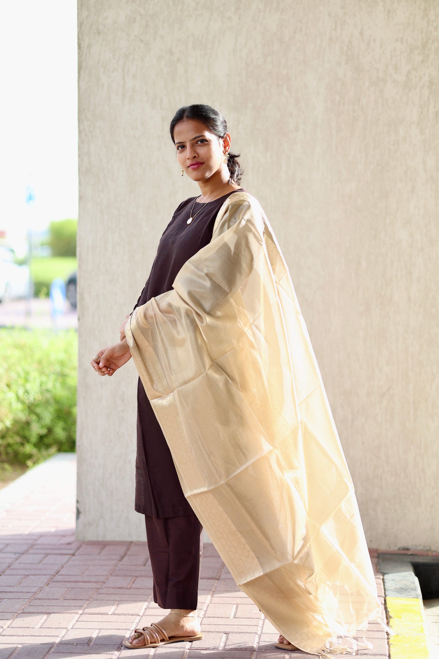 Abilasha - Brown Silk cotton set with Tissue dupatta