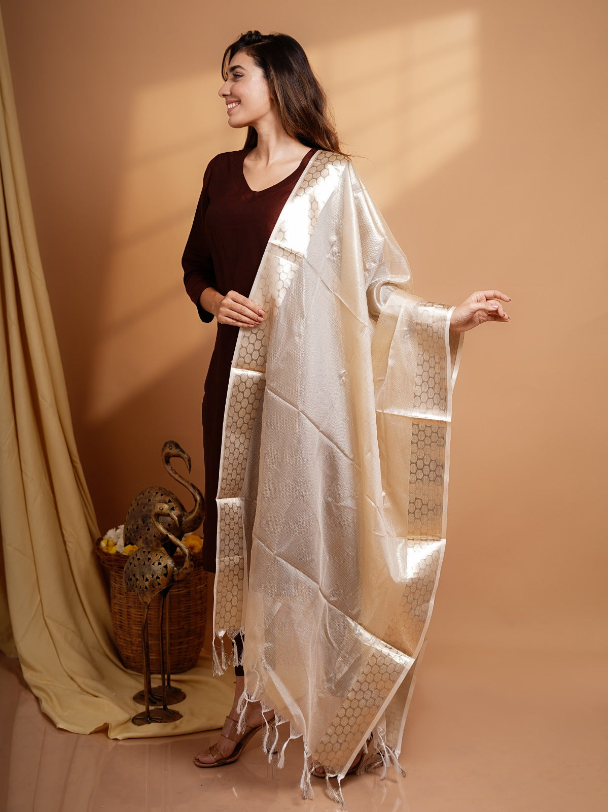 Namrata - Chocolate Brown Silk cotton set