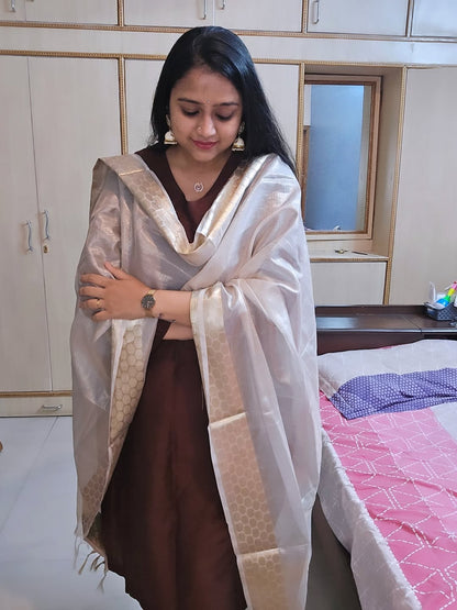 Namrata - Chocolate Brown Silk cotton set