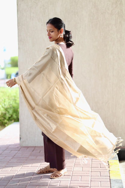 Abilasha - Brown Silk cotton set with Tissue dupatta