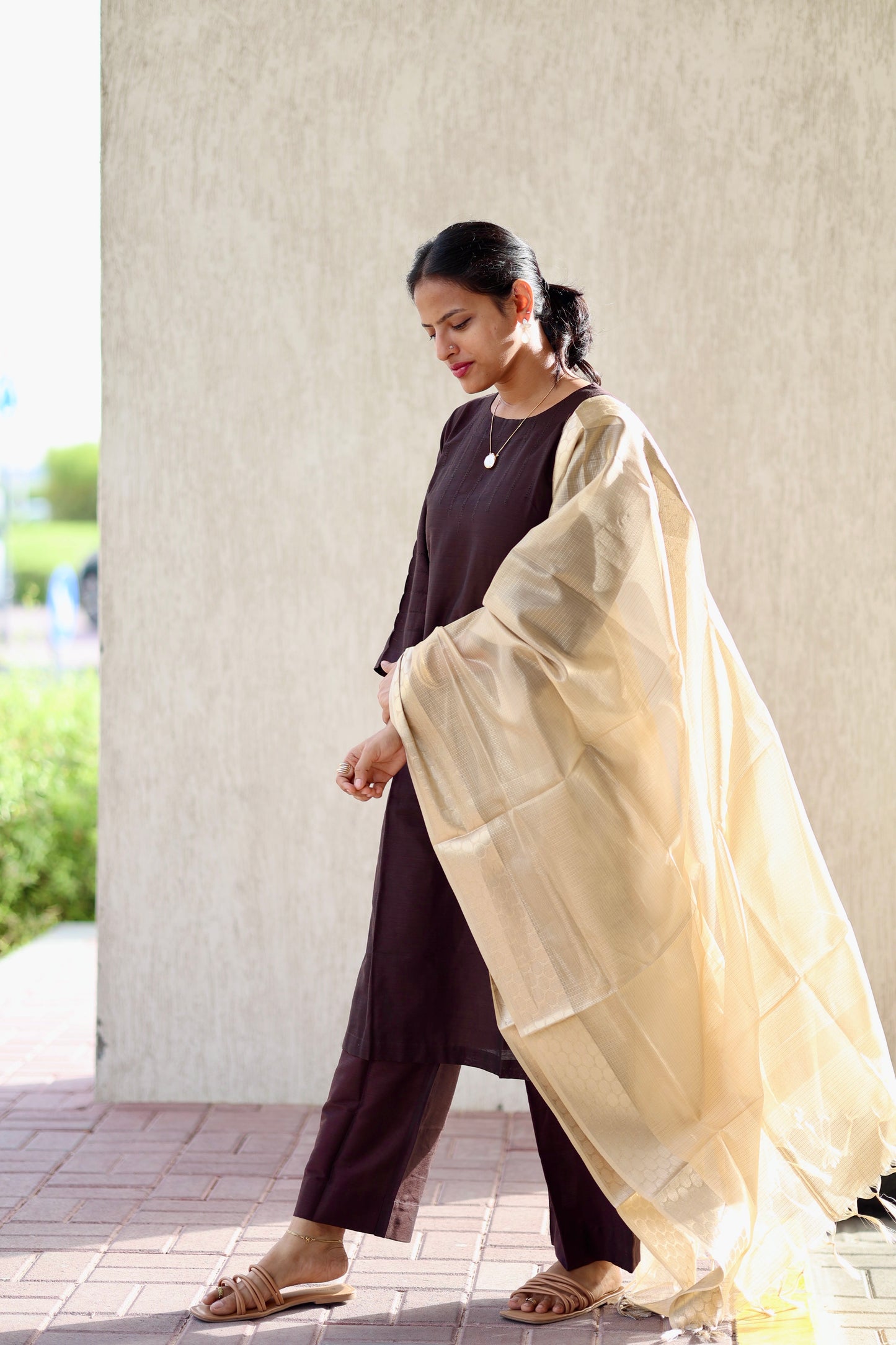 Abilasha - Brown Silk cotton set with Tissue dupatta
